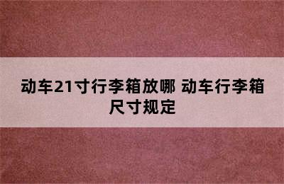 动车21寸行李箱放哪 动车行李箱尺寸规定